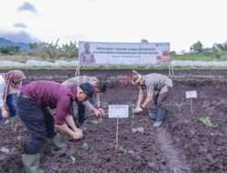 Kendalikan Gejolak Inflasi, Pemkot Batu Tanam ribuan Bibit Cabai
