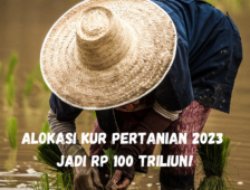 Alokasi KUR Pertanian 2023 Jadi Rp 100 Triliun! Siap Daftar?