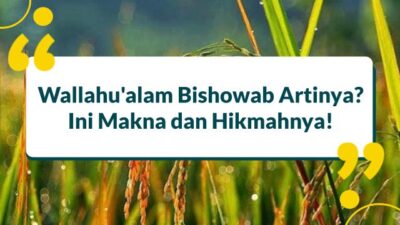Featured artikel template 640 x 480 px 2022 09 15t114650.848.jpg