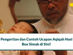 Pengertian dan Contoh Ucapan Aqiqah Nasi Box Simak di Sini