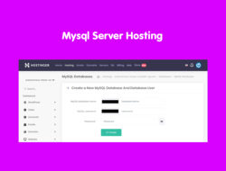 Mysql Server Hosting – Abduweb