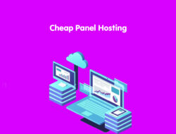 Cheap Panel Hosting – Abduweb
