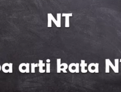 Arti Dari Nt Di Tiktok