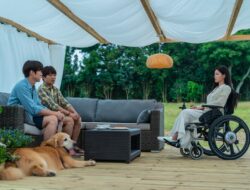 Review Film My Puppy / My Heart Puppy