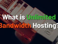 Pengertian Unlimited Bandwidth Hosting – Abduweb