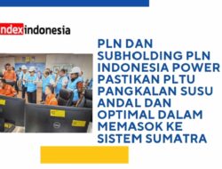 PLN dan Subholding PLN Indonesia Power Pastikan PLTU Pangkalan Susu Andal dan Optimal Dalam Memasok ke Sistem Sumatra