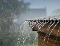 Cara Menjaga Kesehatan Tubuh Saat Musim Hujan