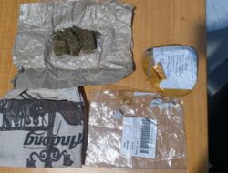 Polresta Banyuwangi Ungkap Peredaran Ganja Satu tersangka Diamankan
